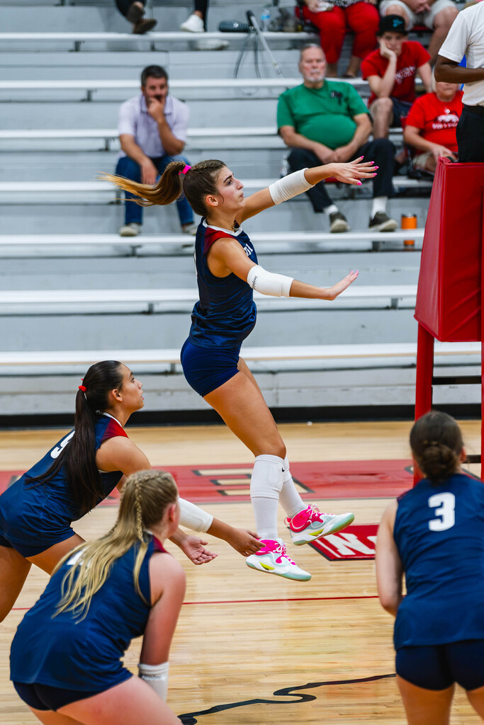 jv and v vb