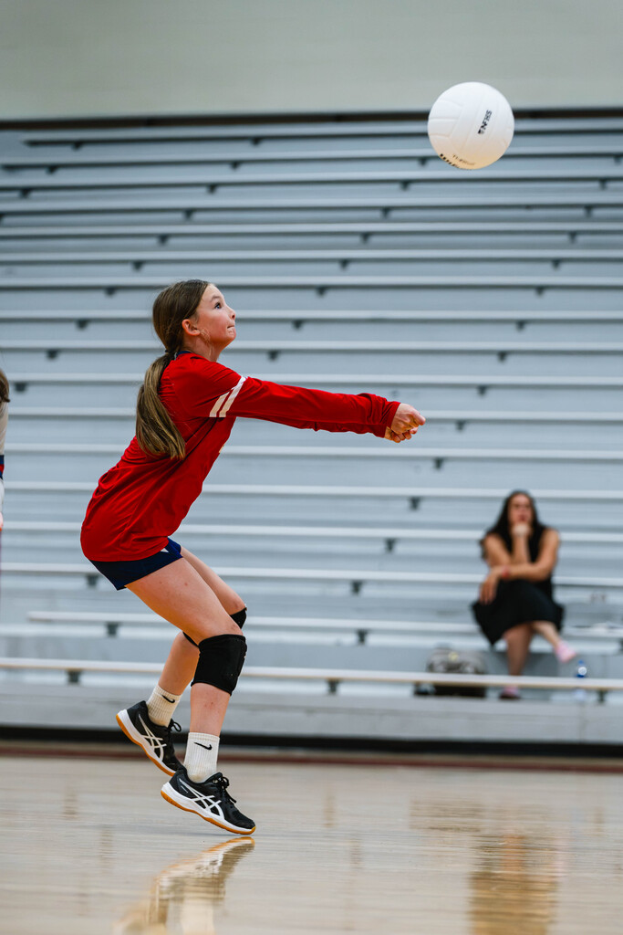 jv and v vb