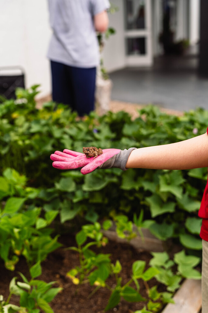 Garden Club