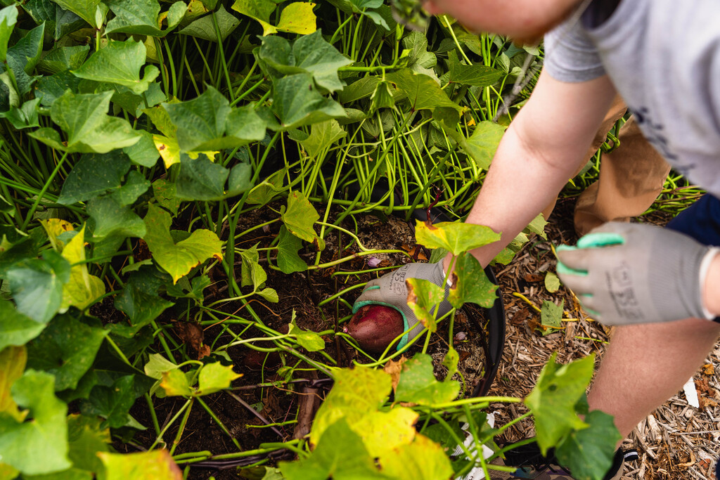 Garden Club