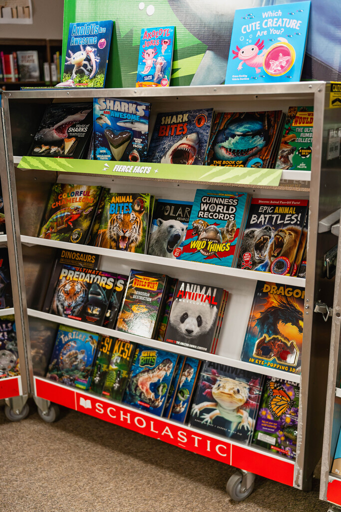 Book Fair