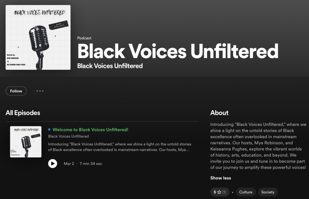 Picture of Black Voices Unfiltered