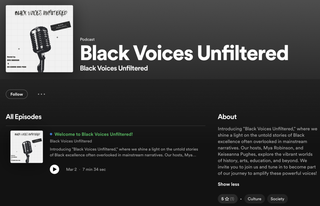 Picture of Black Voices Unfiltered 