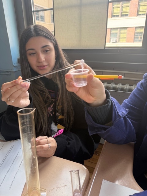 lab