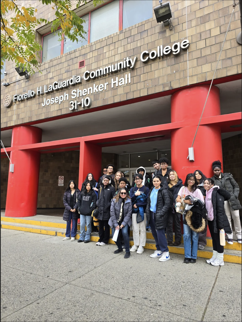 Software Development