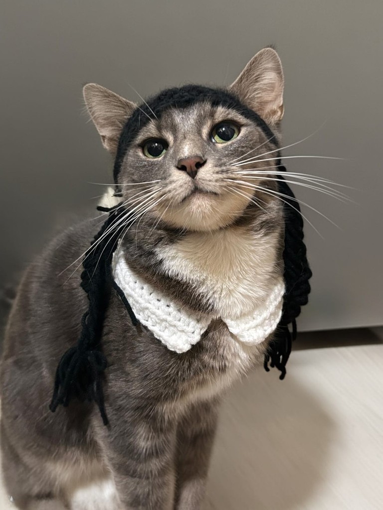 1st Place Student Adrianny Guzman - Cat as Wednesday Adams