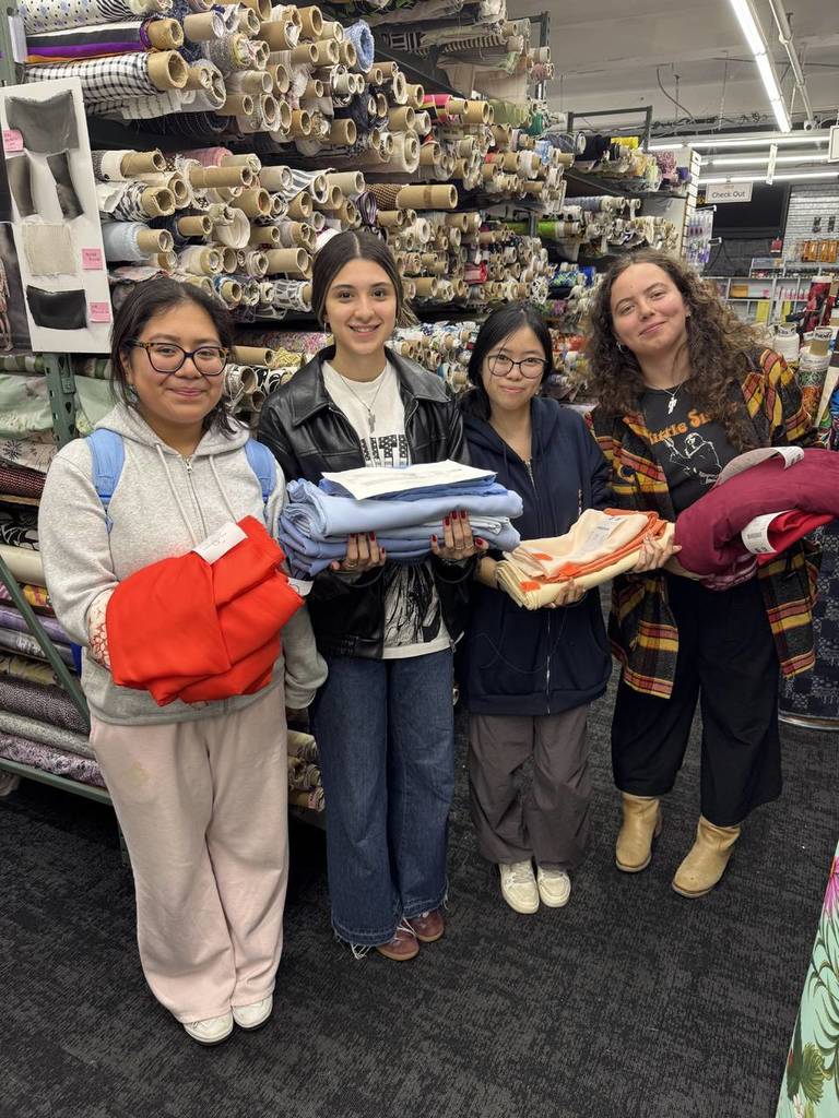 ANTI-PROM MOOD FABRIC SHOPPING Image 3