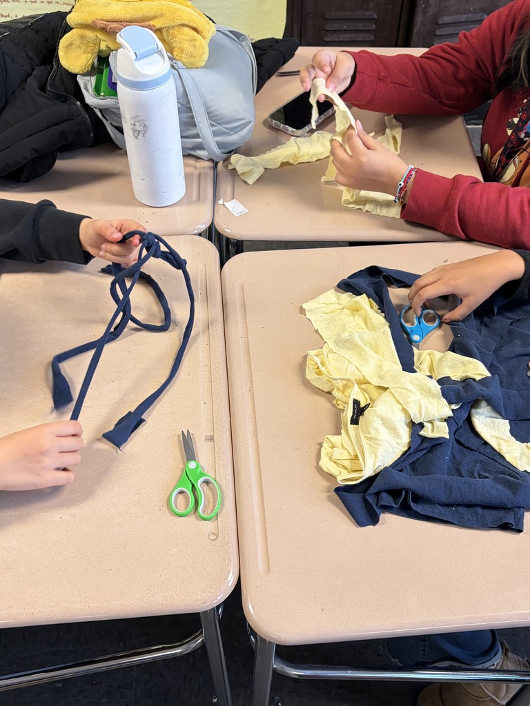 Animal Welfare Club making DIY Tug toys