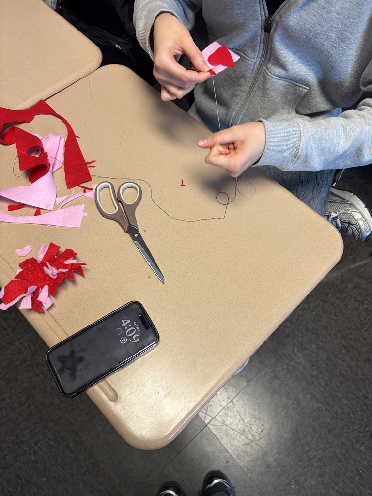 Animal Welfare Club making red and pink catnip toys!
