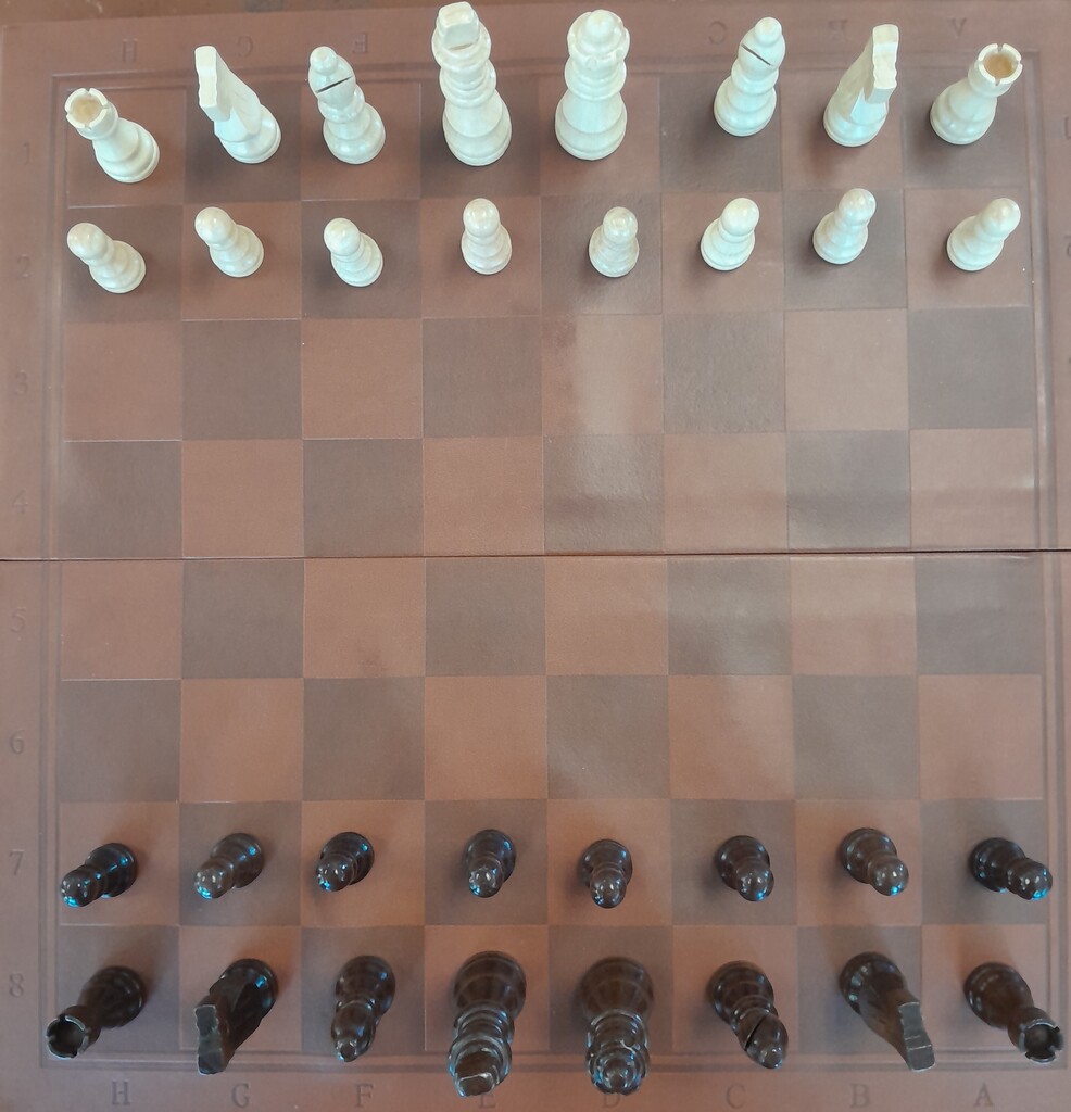 Chess Club 2026 05 19