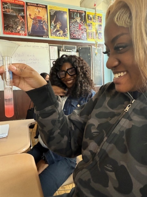lab