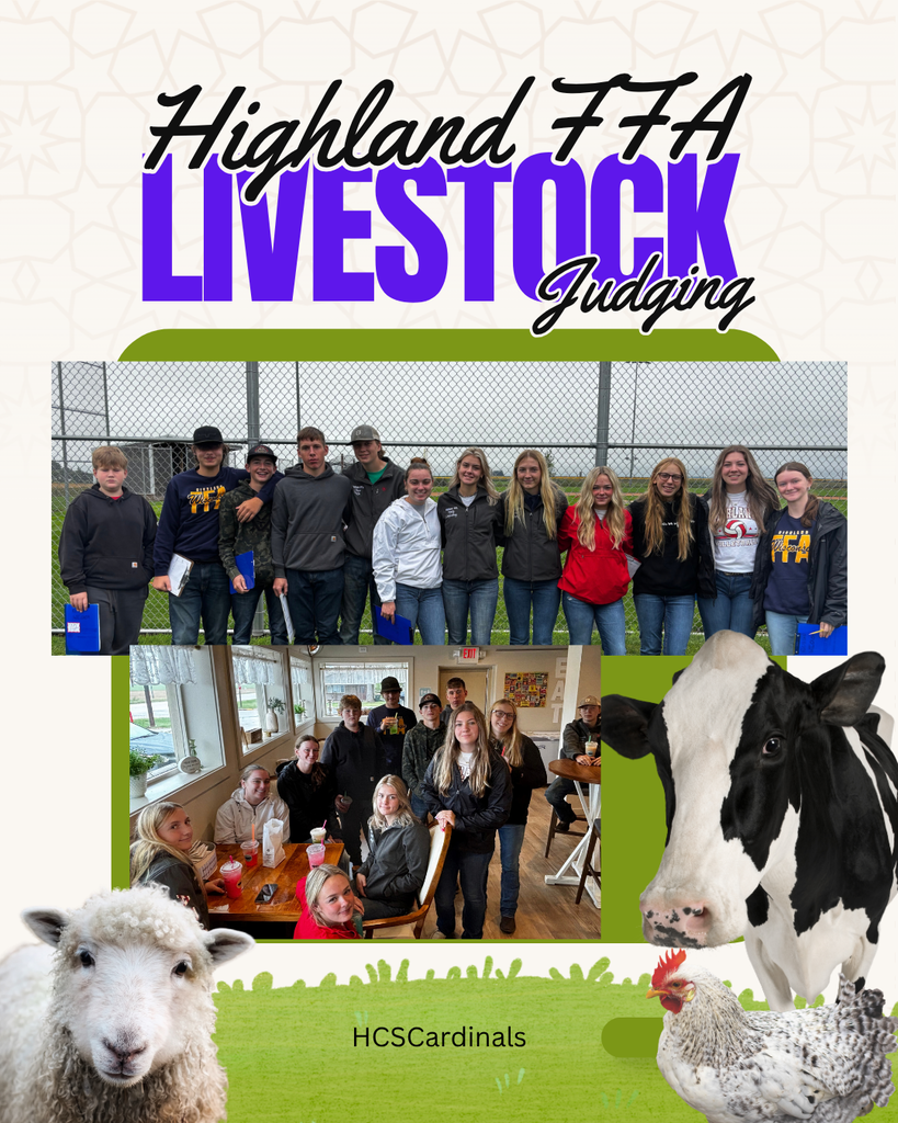 FFA Livestock Judging