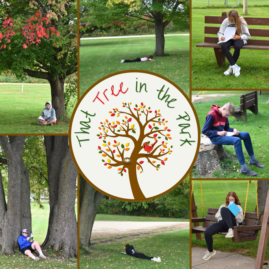 October - That Tree in the Park #HCSCardinals