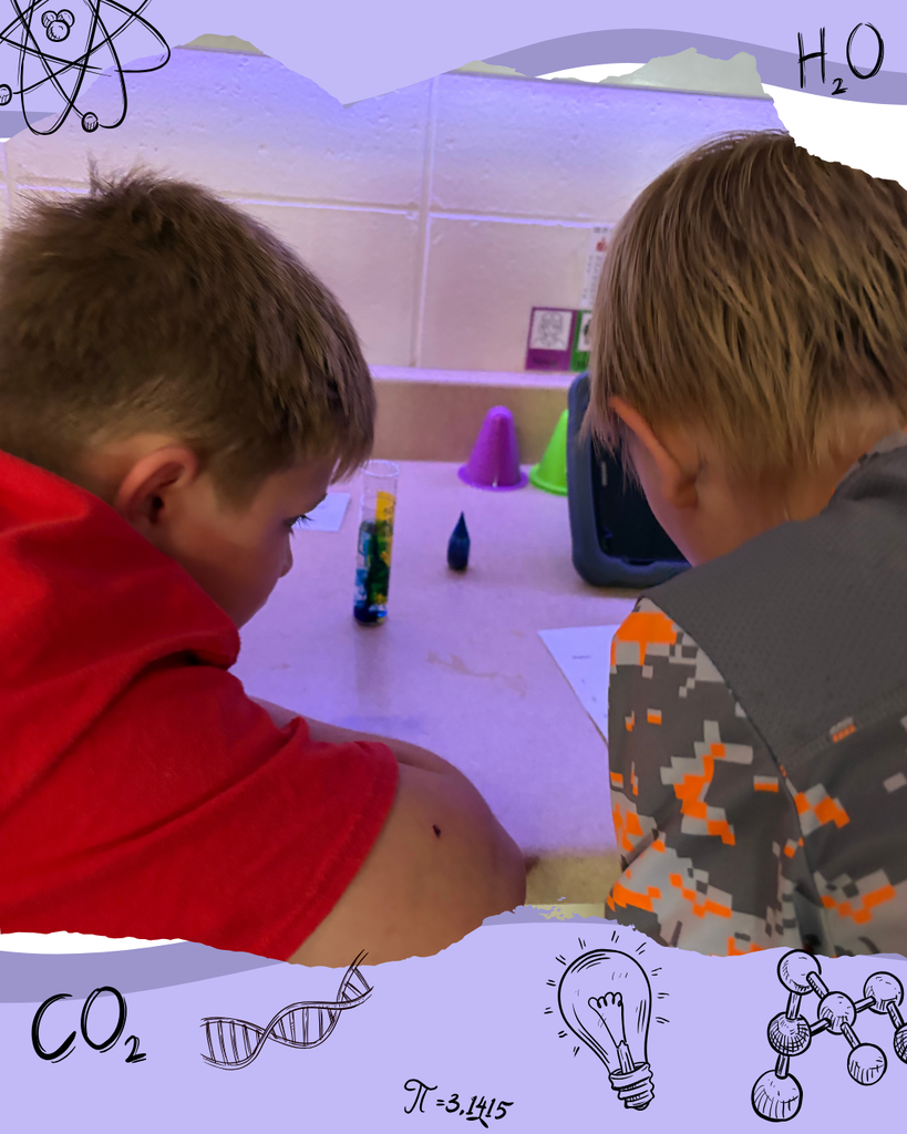 5th Grade Science 2