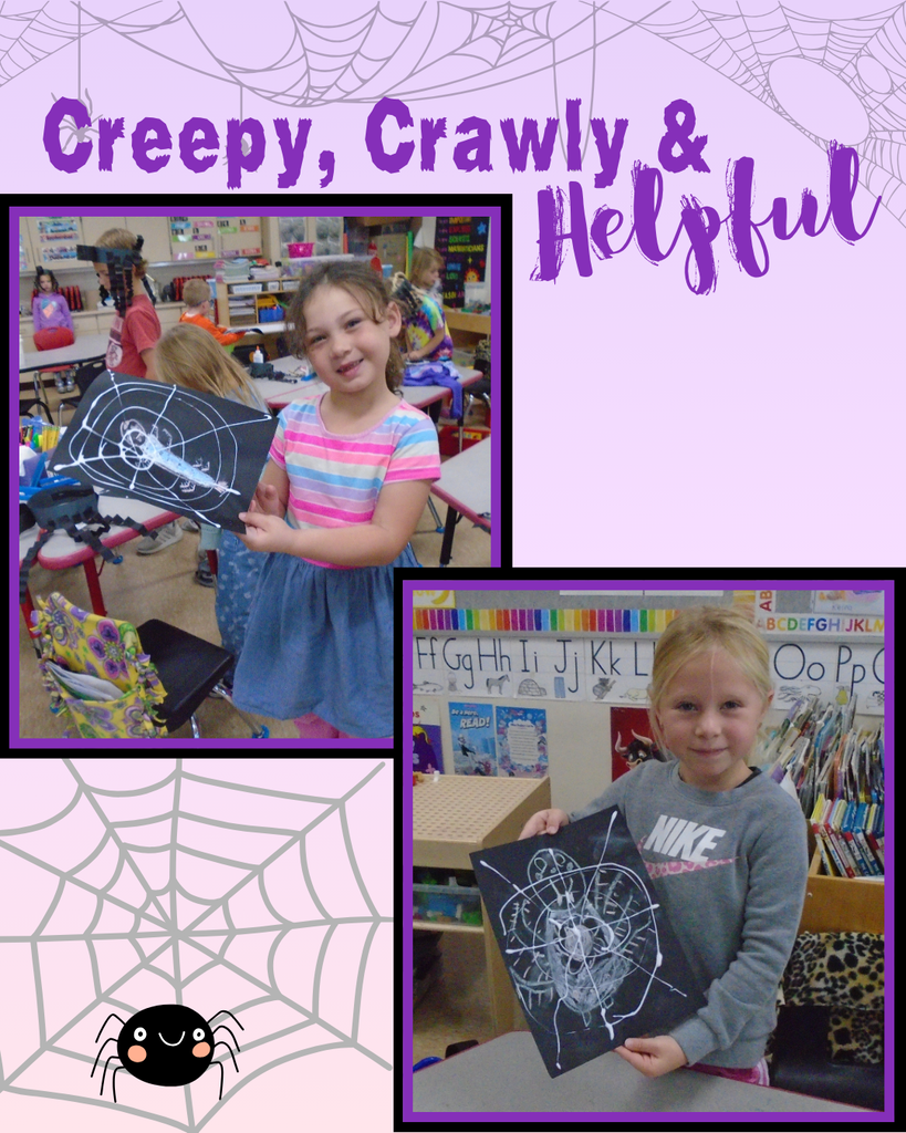 Creepy Crawly Spiders 5K