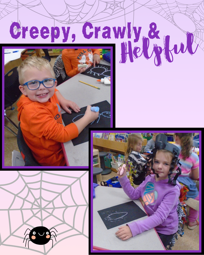 Creepy Crawly Spiders 5K