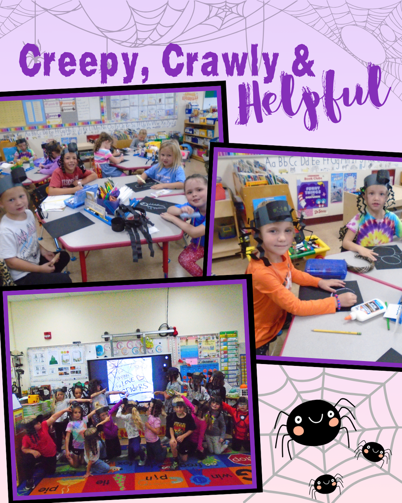 Creepy Crawly Spiders 5K