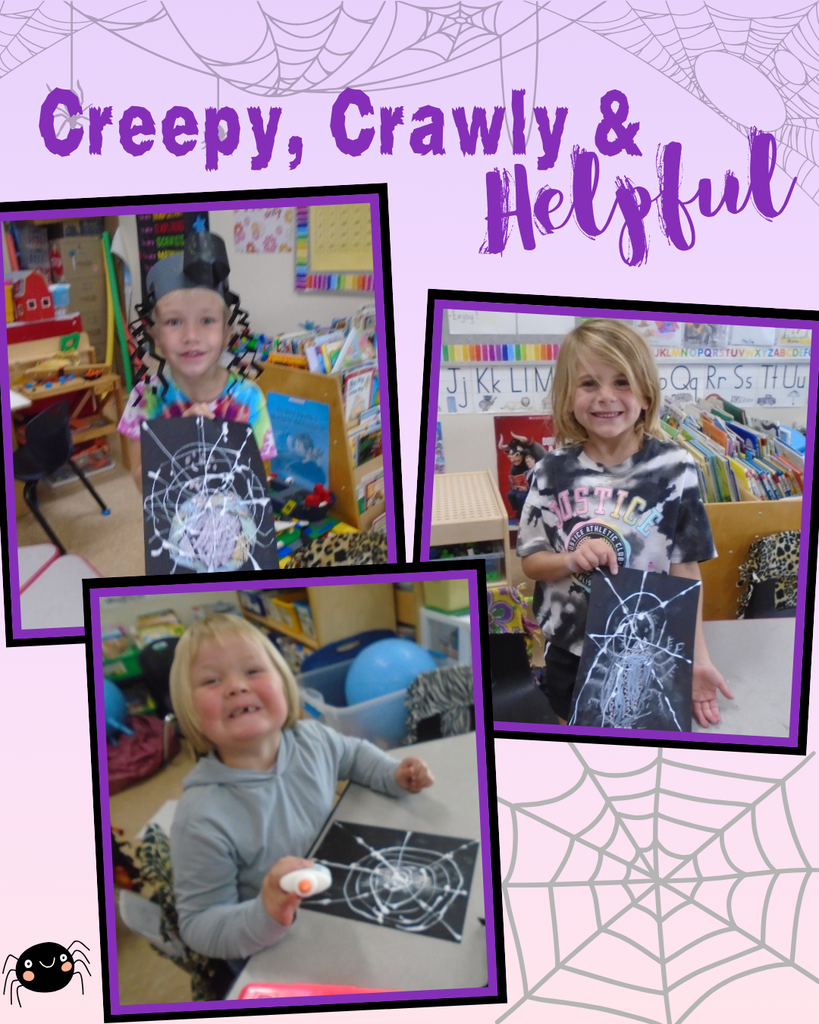 Creepy Crawly Spiders 5K