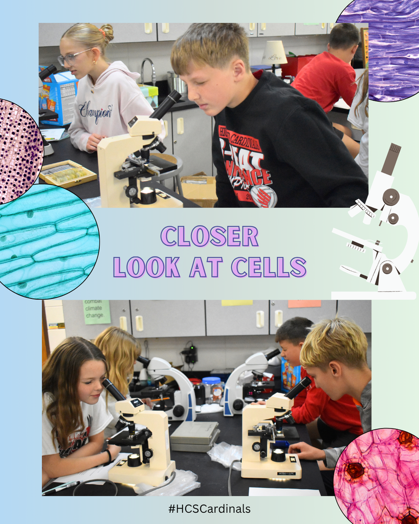 6th Grade Microscopes 3