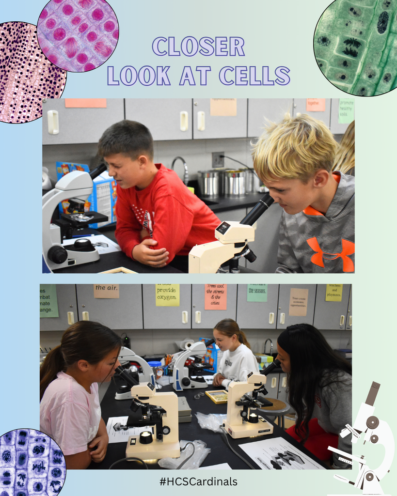 6th Grade Microscopes 2