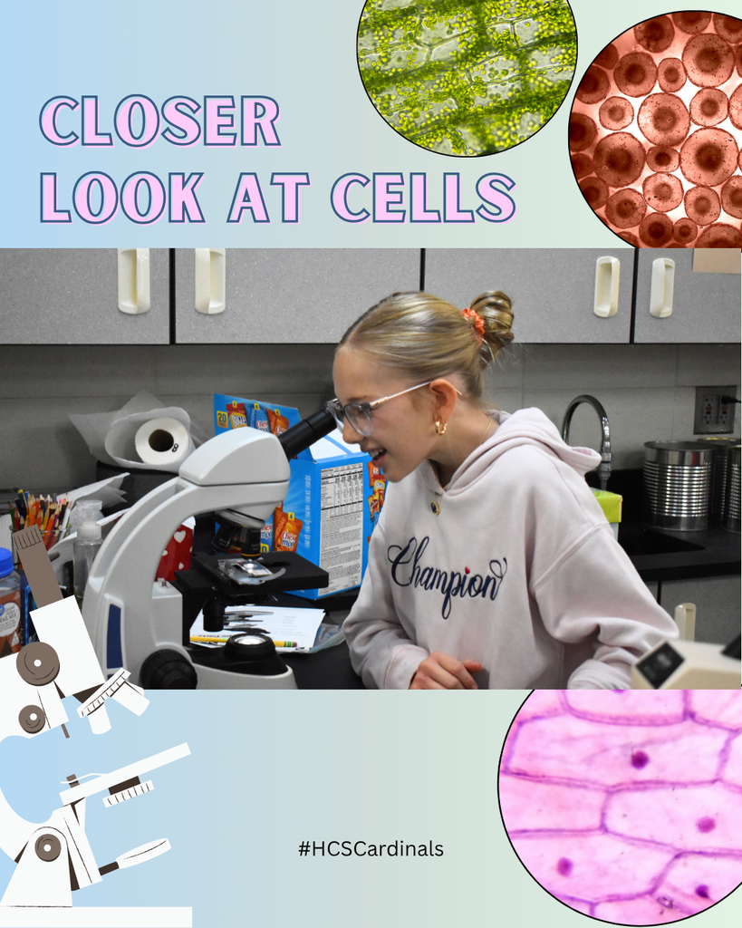 6th Grade Microscopes 1