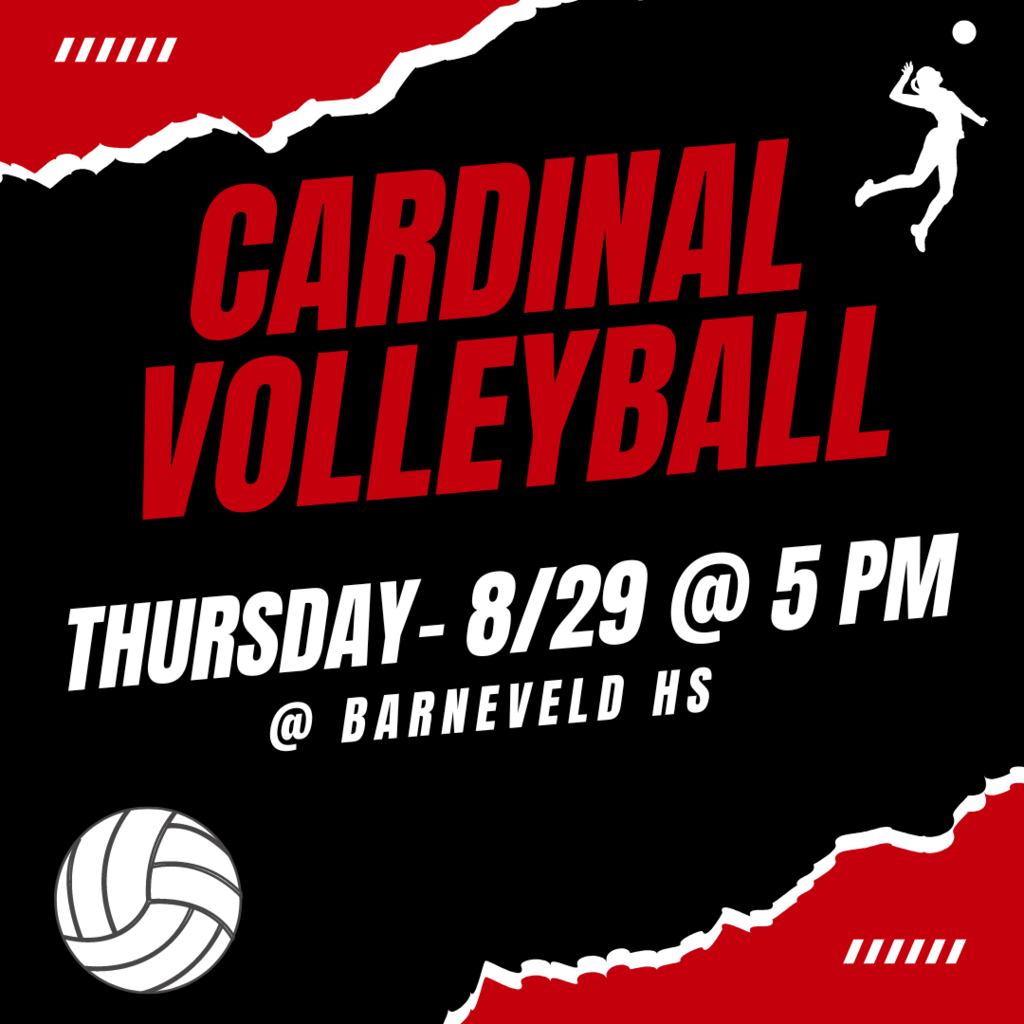 Volleyball