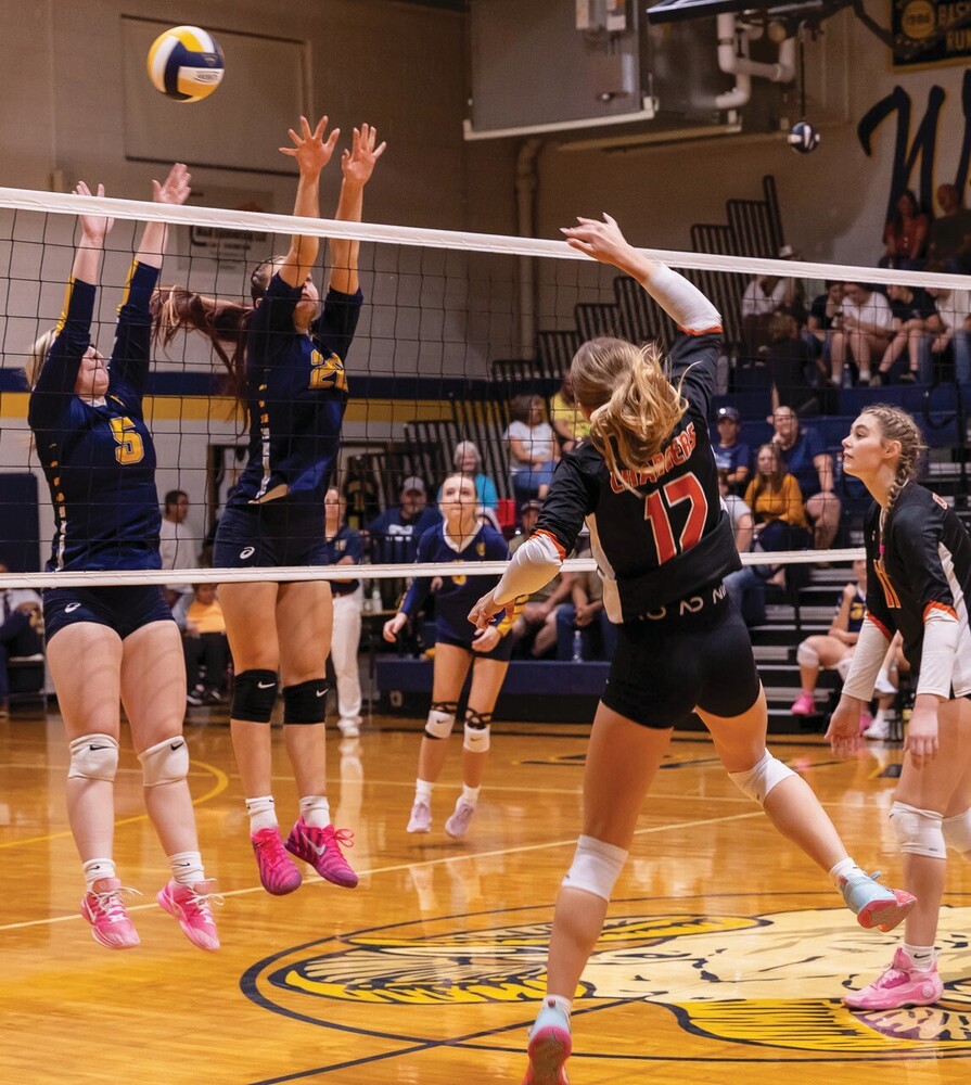 Volleyball