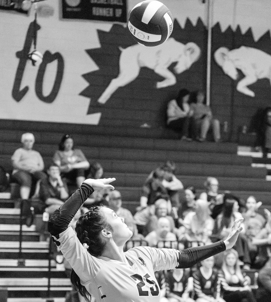 Volleyball