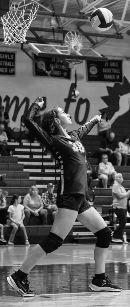 Volleyball