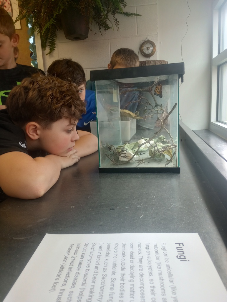 IMG_20250925_103822448_HDR