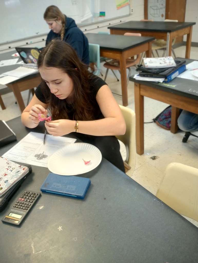 IMG_20260109_130250383_HDR-EDIT