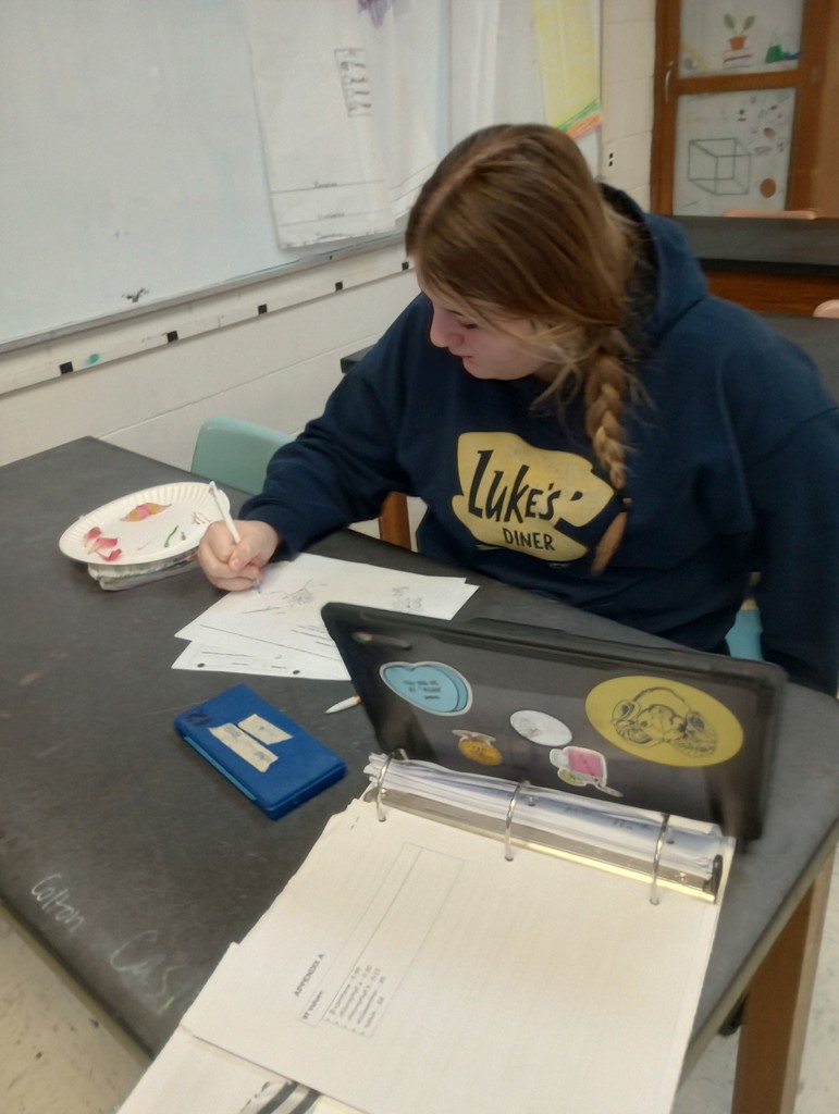 IMG_20260109_130653693_HDR~2