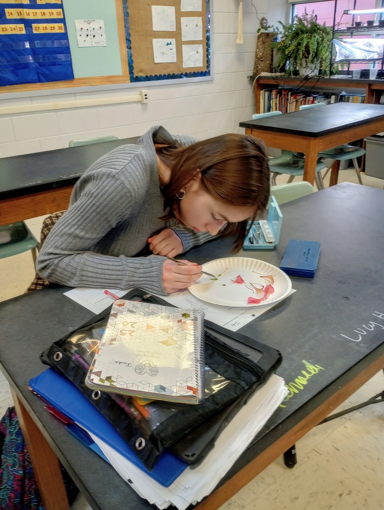 IMG_20260109_130656334_HDR~2 (1)