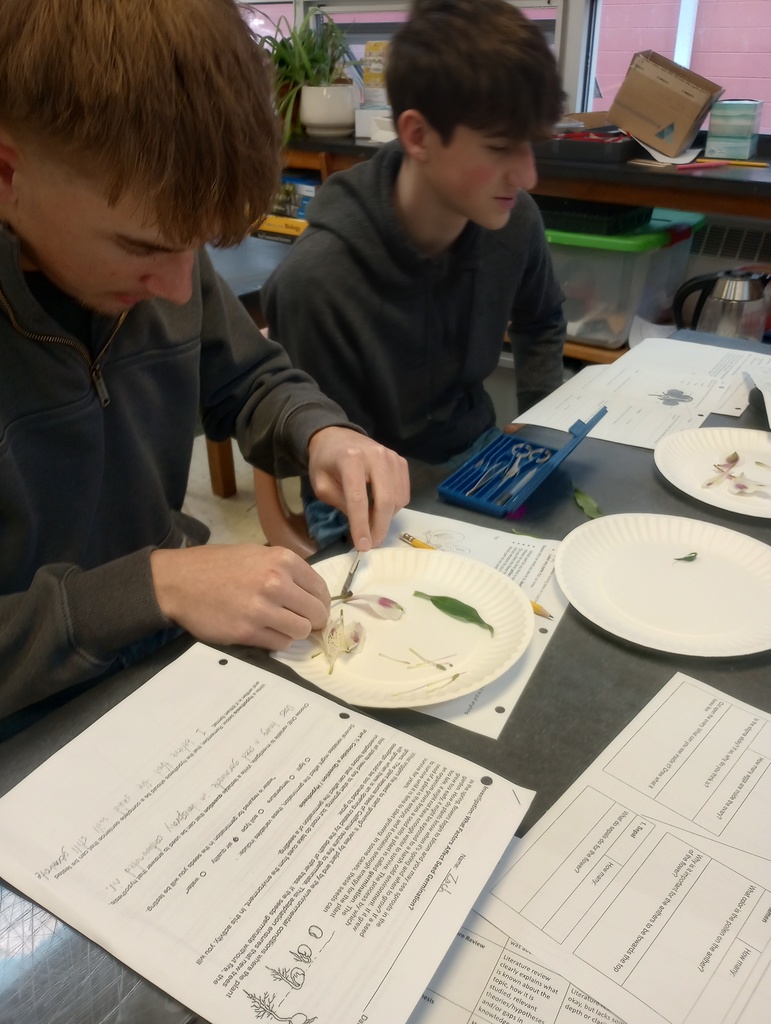 IMG_20260109_130253357_HDR