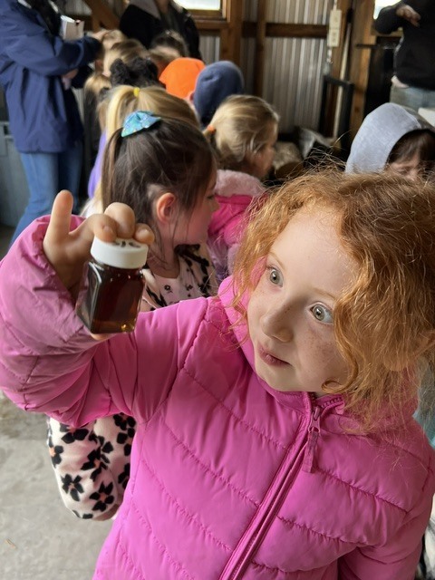 🍁🌳 Kindergarten Maple Adventure!  Our Kindergarten students had the opportunity to visit one of the newest maple camps on the map this year—Pleasant Brook Farms! Students enjoyed learning about the maple process firsthand and exploring this exciting new addition to our local maple community.  What a sweet experience! 🍁✨