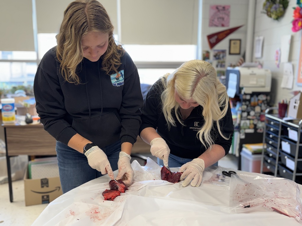 From identifying chambers to understanding blood flow, our students jumped right in and weren’t afraid to get their hands a little messy in the name of learning! 👩‍🔬👨‍🔬  We love seeing curiosity, teamwork, and practical skills all come together like this.
