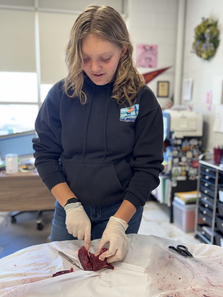 From identifying chambers to understanding blood flow, our students jumped right in and weren’t afraid to get their hands a little messy in the name of learning! 👩‍🔬👨‍🔬  We love seeing curiosity, teamwork, and practical skills all come together like this.