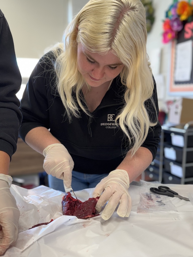 From identifying chambers to understanding blood flow, our students jumped right in and weren’t afraid to get their hands a little messy in the name of learning! 👩‍🔬👨‍🔬  We love seeing curiosity, teamwork, and practical skills all come together like this.