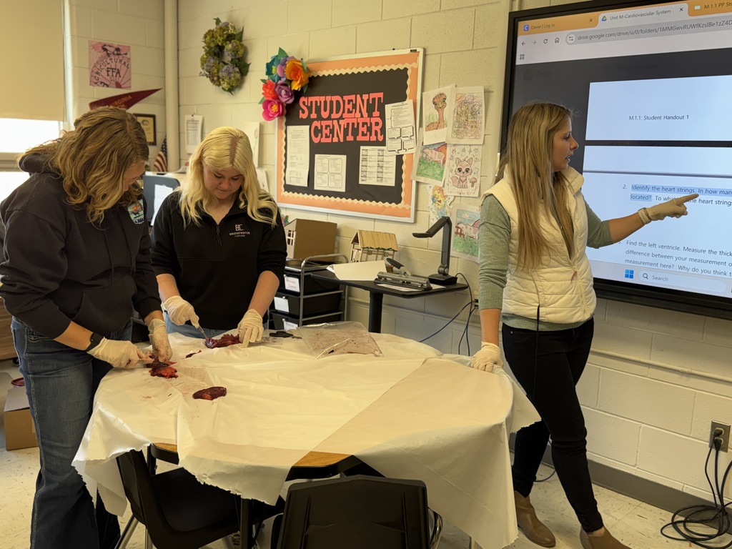 From identifying chambers to understanding blood flow, our students jumped right in and weren’t afraid to get their hands a little messy in the name of learning! 👩‍🔬👨‍🔬  We love seeing curiosity, teamwork, and practical skills all come together like this.