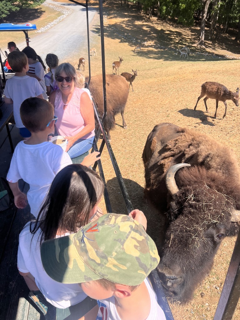 🦒🐘 Kindergarten had a wild adventure at the Safari Park!  Our students enjoyed getting up close with a variety of amazing animals while learning about wildlife and their habitats. It was a day filled with excitement, exploration, and plenty of smiles!  Thank you to everyone who helped make this memorable field trip possible. 🦓🦙🦒