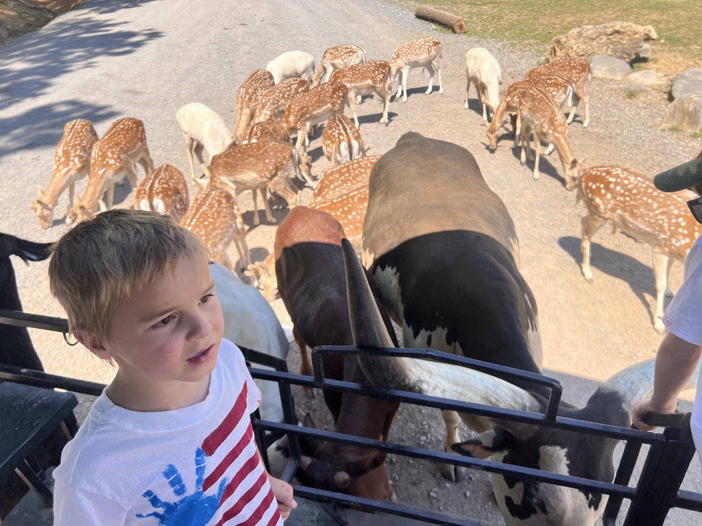🦒🐘 Kindergarten had a wild adventure at the Safari Park!  Our students enjoyed getting up close with a variety of amazing animals while learning about wildlife and their habitats. It was a day filled with excitement, exploration, and plenty of smiles!  Thank you to everyone who helped make this memorable field trip possible. 🦓🦙🦒