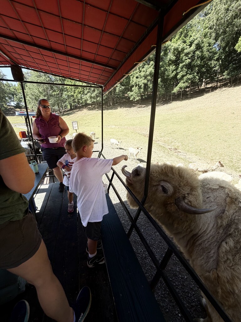 🦒🐘 Kindergarten had a wild adventure at the Safari Park!  Our students enjoyed getting up close with a variety of amazing animals while learning about wildlife and their habitats. It was a day filled with excitement, exploration, and plenty of smiles!  Thank you to everyone who helped make this memorable field trip possible. 🦓🦙🦒