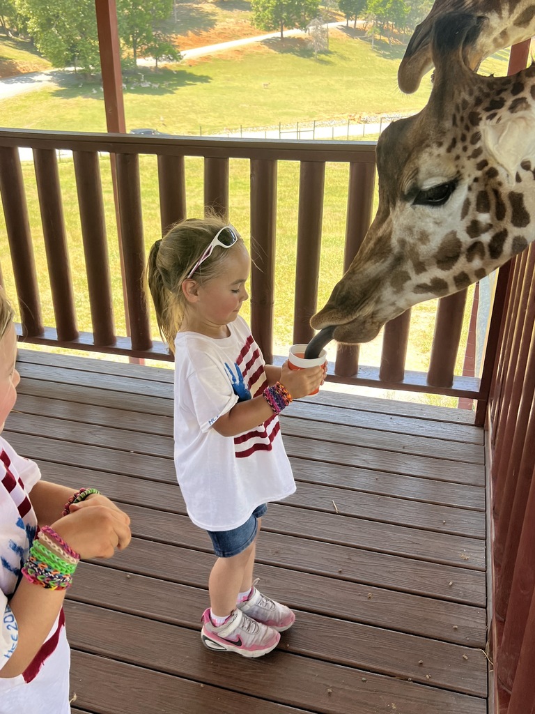 🦒🐘 Kindergarten had a wild adventure at the Safari Park!  Our students enjoyed getting up close with a variety of amazing animals while learning about wildlife and their habitats. It was a day filled with excitement, exploration, and plenty of smiles!  Thank you to everyone who helped make this memorable field trip possible. 🦓🦙🦒
