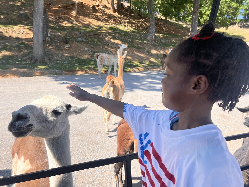 🦒🐘 Kindergarten had a wild adventure at the Safari Park!  Our students enjoyed getting up close with a variety of amazing animals while learning about wildlife and their habitats. It was a day filled with excitement, exploration, and plenty of smiles!  Thank you to everyone who helped make this memorable field trip possible. 🦓🦙🦒