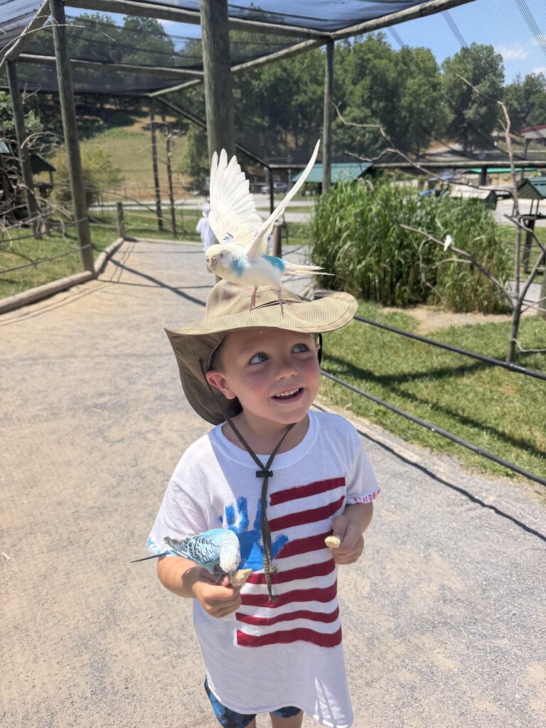 🦒🐘 Kindergarten had a wild adventure at the Safari Park!  Our students enjoyed getting up close with a variety of amazing animals while learning about wildlife and their habitats. It was a day filled with excitement, exploration, and plenty of smiles!  Thank you to everyone who helped make this memorable field trip possible. 🦓🦙🦒