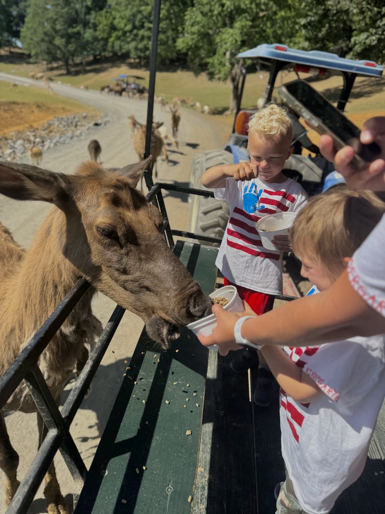 🦒🐘 Kindergarten had a wild adventure at the Safari Park!  Our students enjoyed getting up close with a variety of amazing animals while learning about wildlife and their habitats. It was a day filled with excitement, exploration, and plenty of smiles!  Thank you to everyone who helped make this memorable field trip possible. 🦓🦙🦒