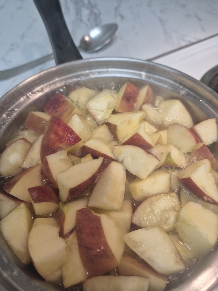 apple unit