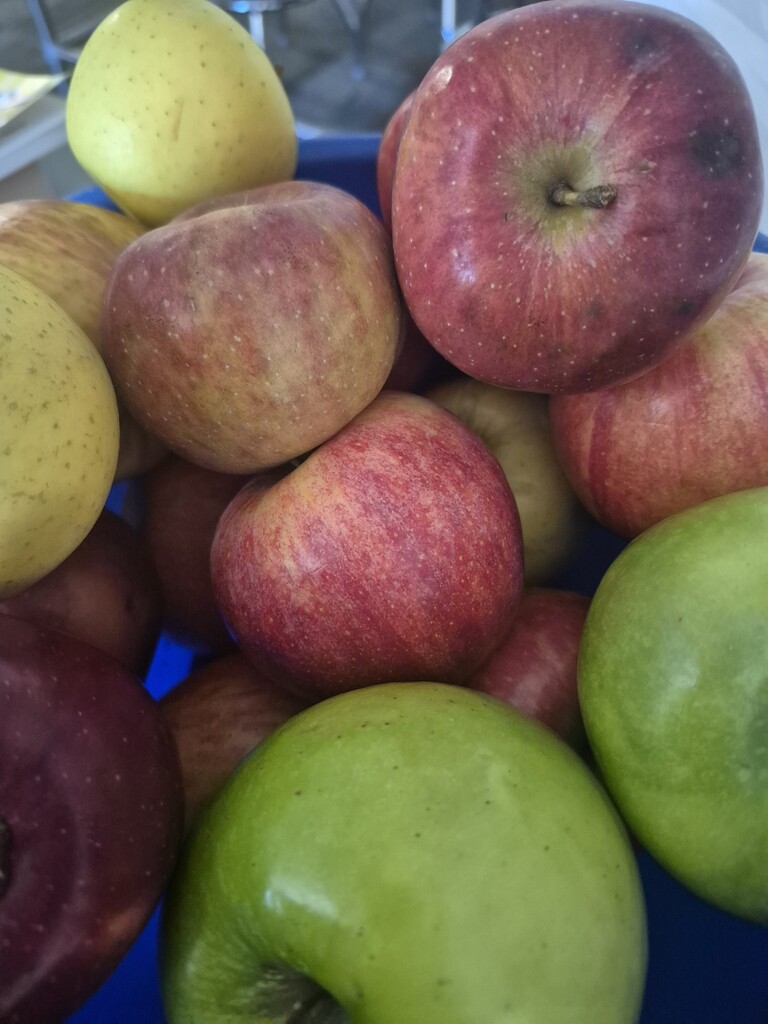 apple unit