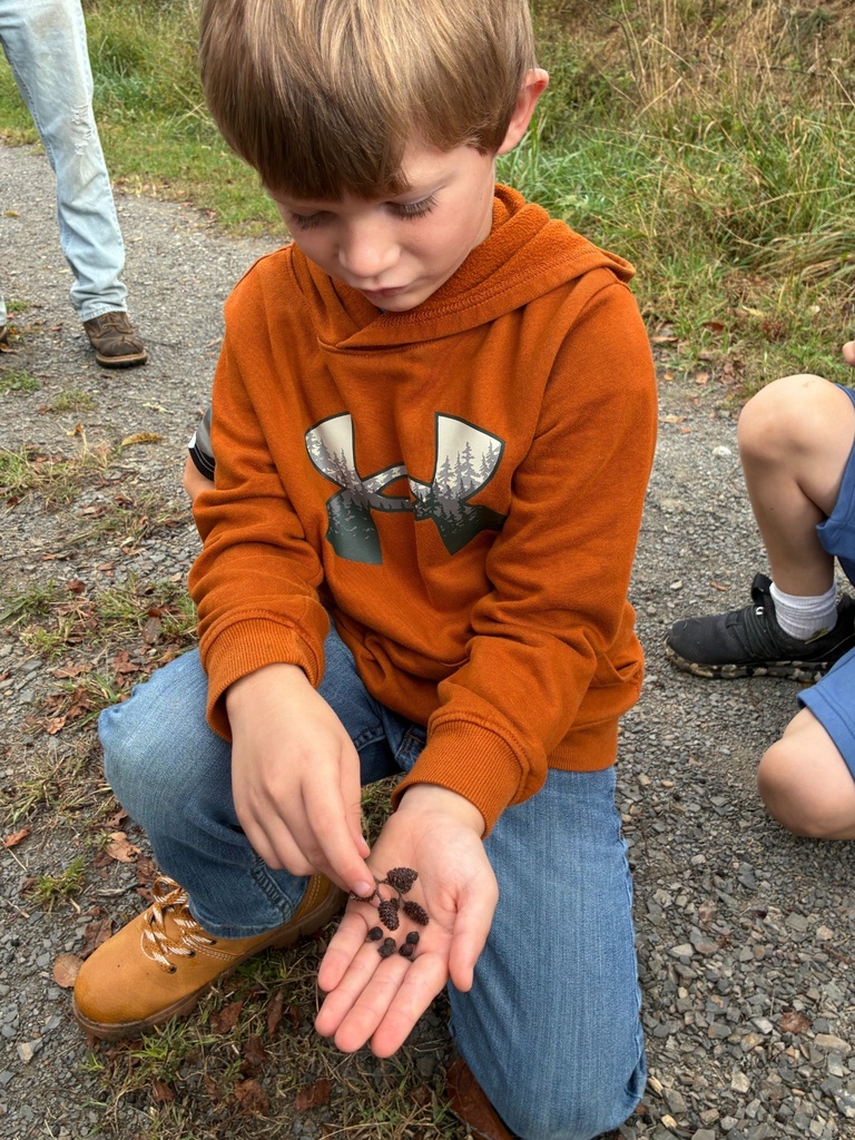Hayfields State Park