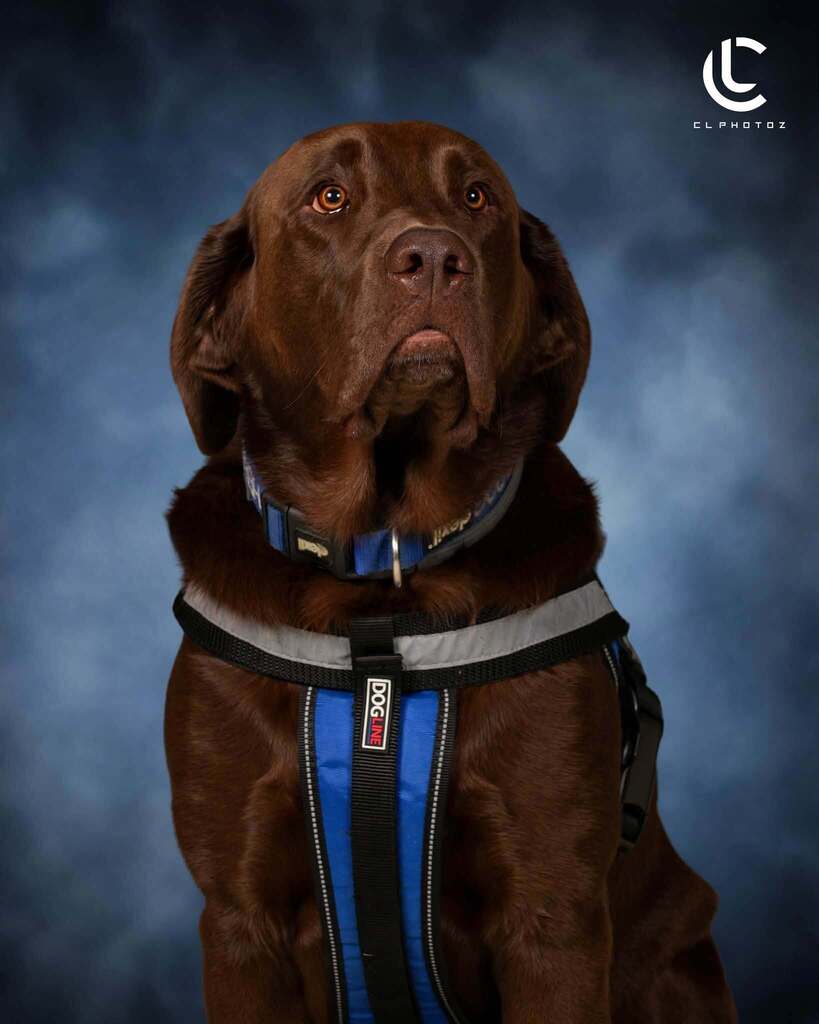 Bruno